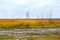 Deserted dirt country road in the autumn in overcast weather