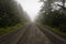 Deserted dirt road in the fog