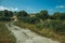 Deserted dirt road passing through rural landscape