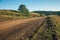 Deserted dirt road passing through rural lowlands