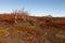 Deserted dramatic landscape of Iceland