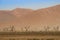 Deserted dry orange landscape of Namibia and grazing herd of antelope