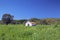 Deserted farmhouse in colourful field in Spain