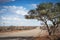 Deserted gravel road in the Karoo/Kalahari