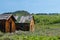 Deserted Homestead in Wyoming