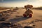 Deserted joy Broken bear toy on a road, a sad background