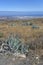 Deserted landscape of the eastern shore of Gran Canaria