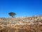 Deserted landscape of Rhodes island in Greece.