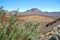 Deserted landscape of teide national park on tener