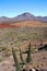 Deserted landscape of teide national park on tenerife, canary islands in spain