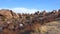 Deserted mountain landscape with red erosional formations from ancient sedimentary rocks. Joshua Tree Yucca brevifolia. Joshua