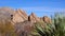 Deserted mountain landscape, Yucca and Cacti in a Red Cliffs Mountain Landscape in Arizona, USA