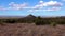 Deserted mountain landscape, Yuccas and cacti against the backdrop of mountains with thunderclouds. NEW MEXICO