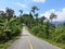 Deserted mountain road surrounded by tropical vegetation, on the way to nowhere