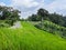 Deserted mountain road surrounded by tropical vegetation, on the way to nowhere