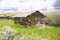 Deserted old homestead in summer in Centennial Valley near Lakeview, MT