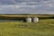 Deserted old round grain bins