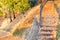 Deserted park alley and steps on mountain slope covered with a carpet of yellow fallen leaves surrounded by autumn maples