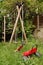 Deserted playground