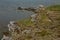 Deserted rocky shores of the Barents Sea.