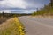 Deserted rural highway Yukon Territory Canada