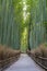 Deserted Sagano Arashiyama Bamboo forest in Kyoto, Japan