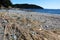 Deserted sandy beach