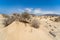 Deserted sandy expanses of the Jandia Peninsula.