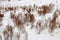 Deserted slope of snow-covered hill