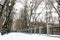 Deserted snowy sidewalk goes into distance in winter park at freezing cold day. Walking path in city park with bare