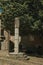 Deserted square with pillory and leafy tree