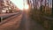 Deserted street in the golden hour of the sun