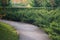 Deserted summer park with trimmed thuja bushes and wooden path for walking or morning jogging