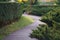 Deserted summer park with trimmed thuja bushes and wooden path for walking or morning jogging