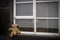 Deserted teddy bear at window