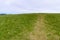 Deserted track through a meadow