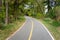 Deserted Two-lane Bike Path lined with Trees in Early Autumn