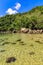 Deserted and unspoilt beach with its limpid, green and transparent waters