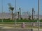 Deserted urban landscape with palm trees