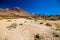 Deserted view of Las Canadas National park