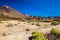 Deserted view of Las Canadas National park