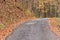 A deserted winding forest road goes deep into the forest.