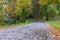 A deserted winding forest road goes deep into the forest.