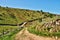 Deserted winding gravel farm track