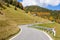 Deserted Winding Road to a Colourful Forest