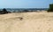 Deserted yellow sand beach with rocky shoreline in Panama