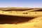 Deserts dune