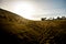 Deset and sand dunes landscape during a beautiful golden sunset. tropical palms and houses in the background. footprint of people