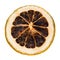 Desiccated citrus slice on white background