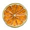 Desiccated citrus slice on white background